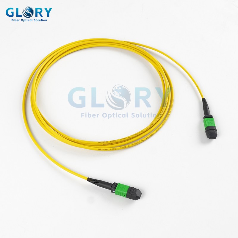 product-800-800 product-800-800